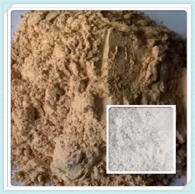  Diatomite: Vật liệu Xây Dựng & Chế Biến Cao Cấp!