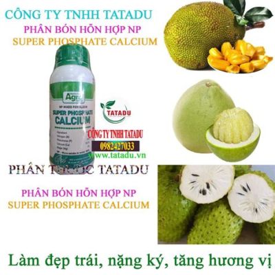  Phosphates:  Chức năng quan trọng trong phân bón và ứng dụng công nghiệp đa dạng !