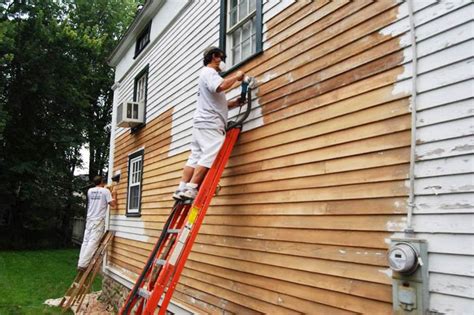 How Much to Paint House Exterior: A Brush with Creativity and Cost