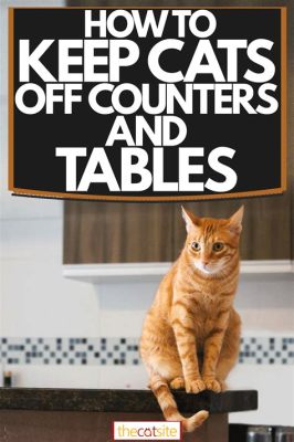 How to Keep Cats Off Furniture Home Remedy: A Whisker Away from Chaos