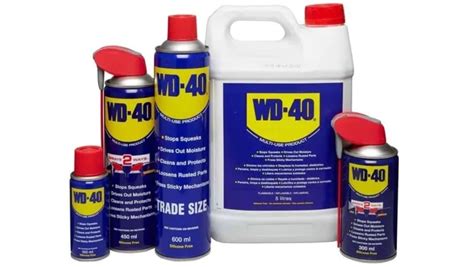 Will WD-40 Remove Paint from Plastic? And Why Do Bananas Dream of Electric Sheep?